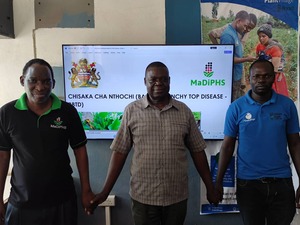 DAES Empowered with Pest, Diseases Observatory System