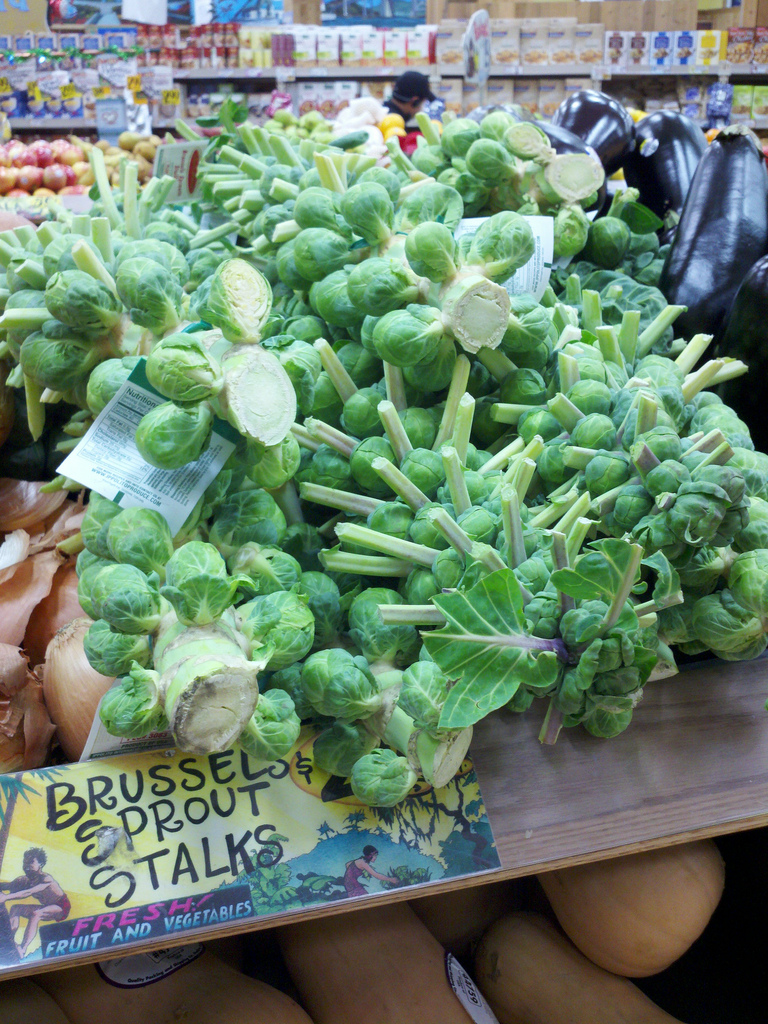 Brussels sprouts When to plant brussel sprouts