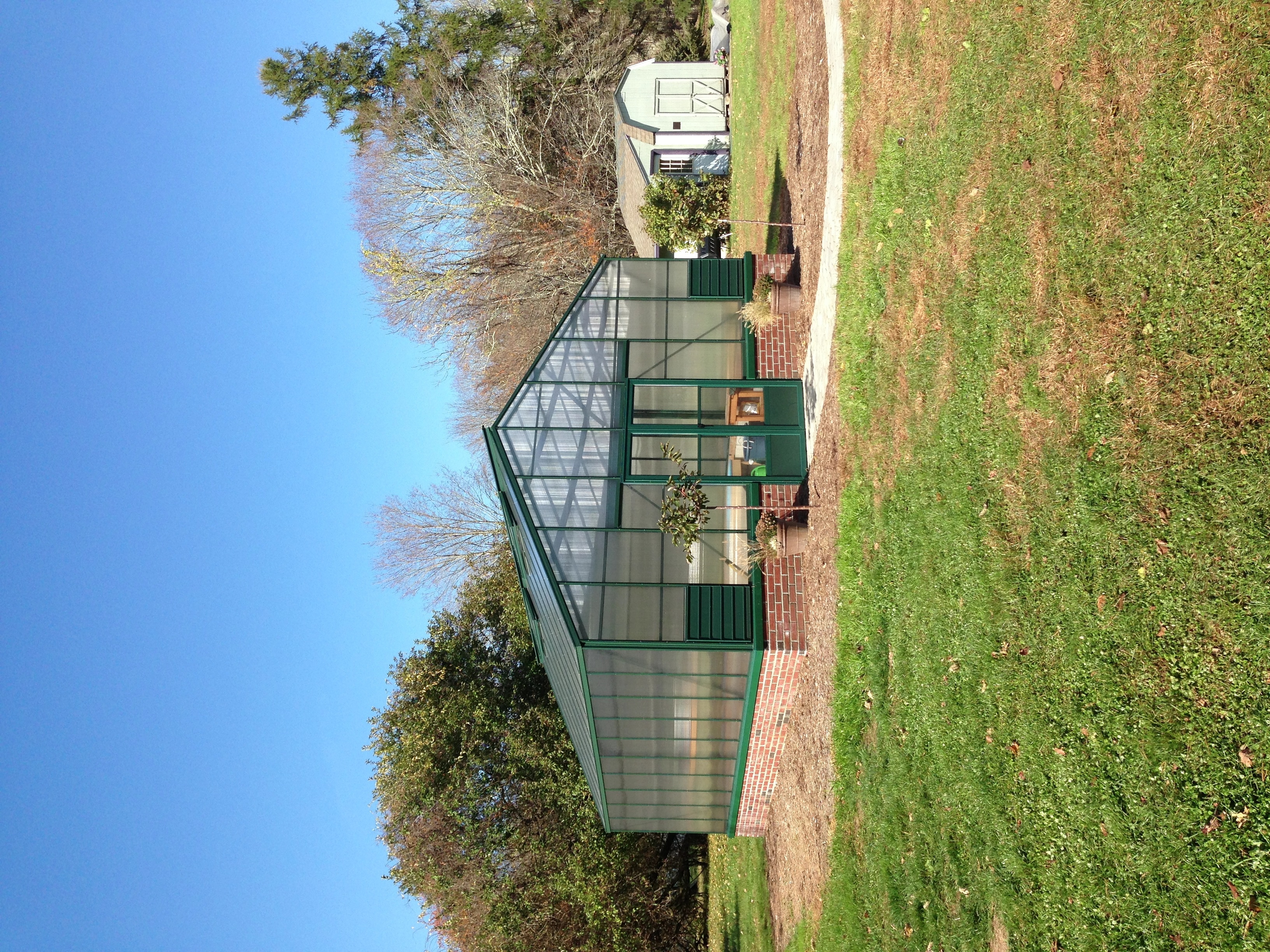 General | What can I grow in an unheated greenhouse over winter?, image size:2448x3264