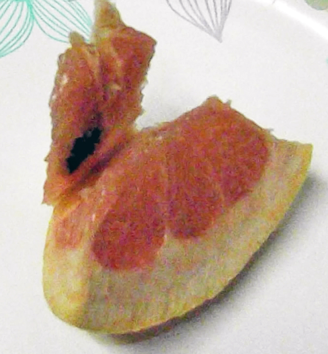Grapefruit Black Fungus or Mold? Inside Grapefruit.