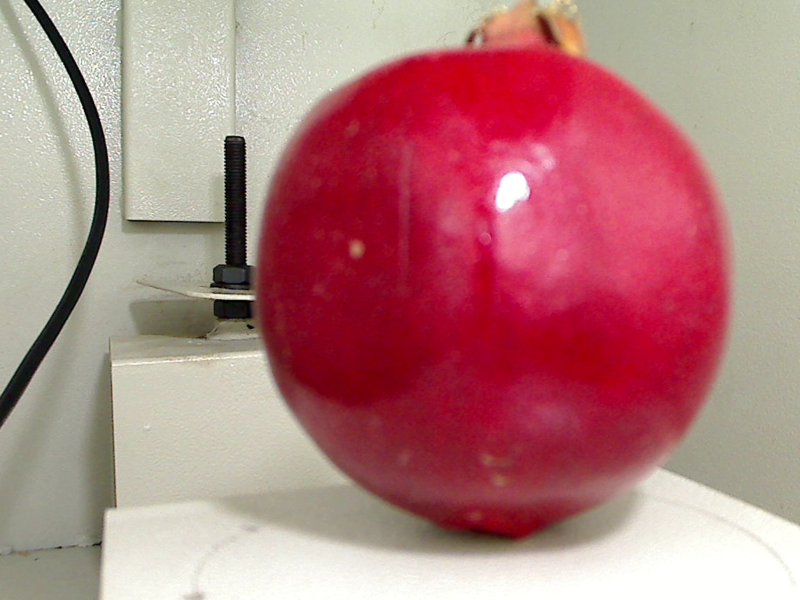 Image Database | Image database of pomegranate fruits